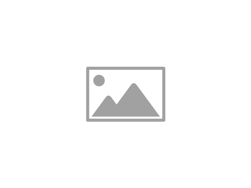 2D Animation and Motion Graphics